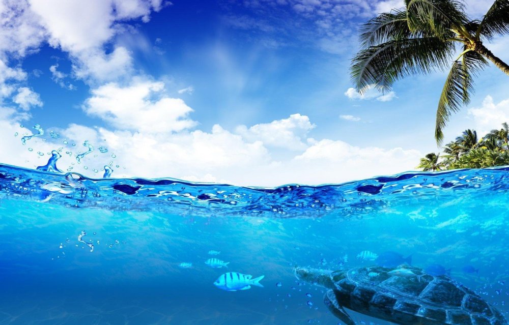 Подводный пейзаж