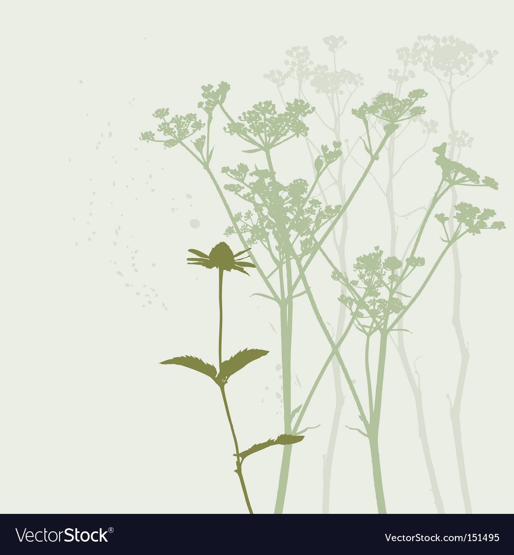 Стилизованная зонтик укропа