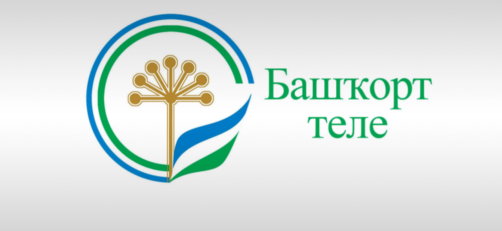 Флаг Аргаяшского района