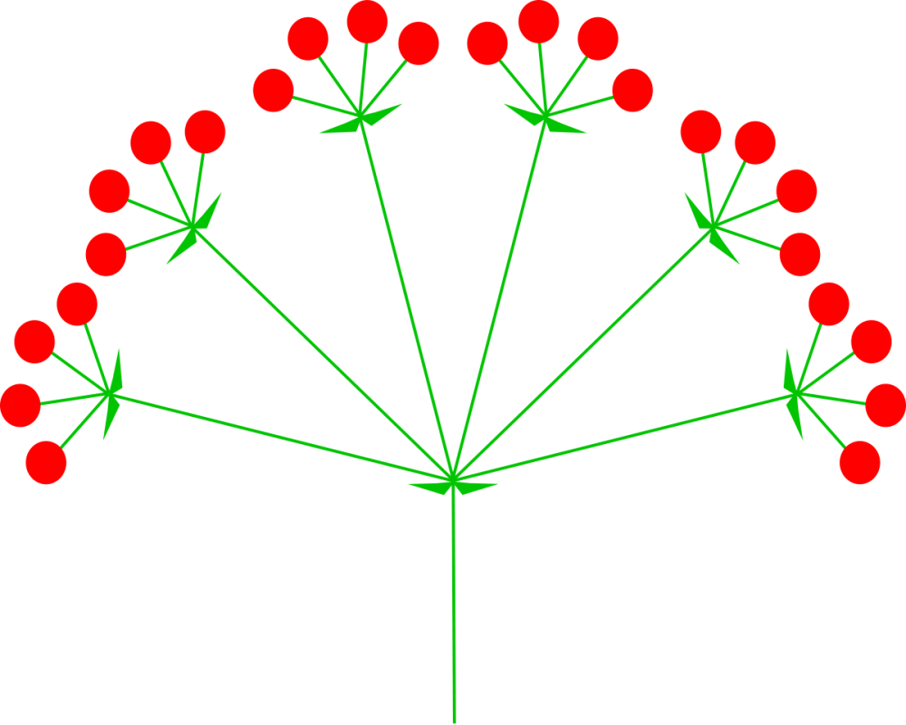 Природа одуванчики