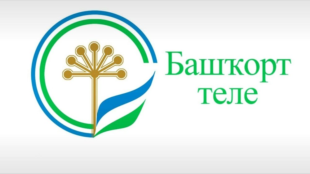 Растения на фоне заката