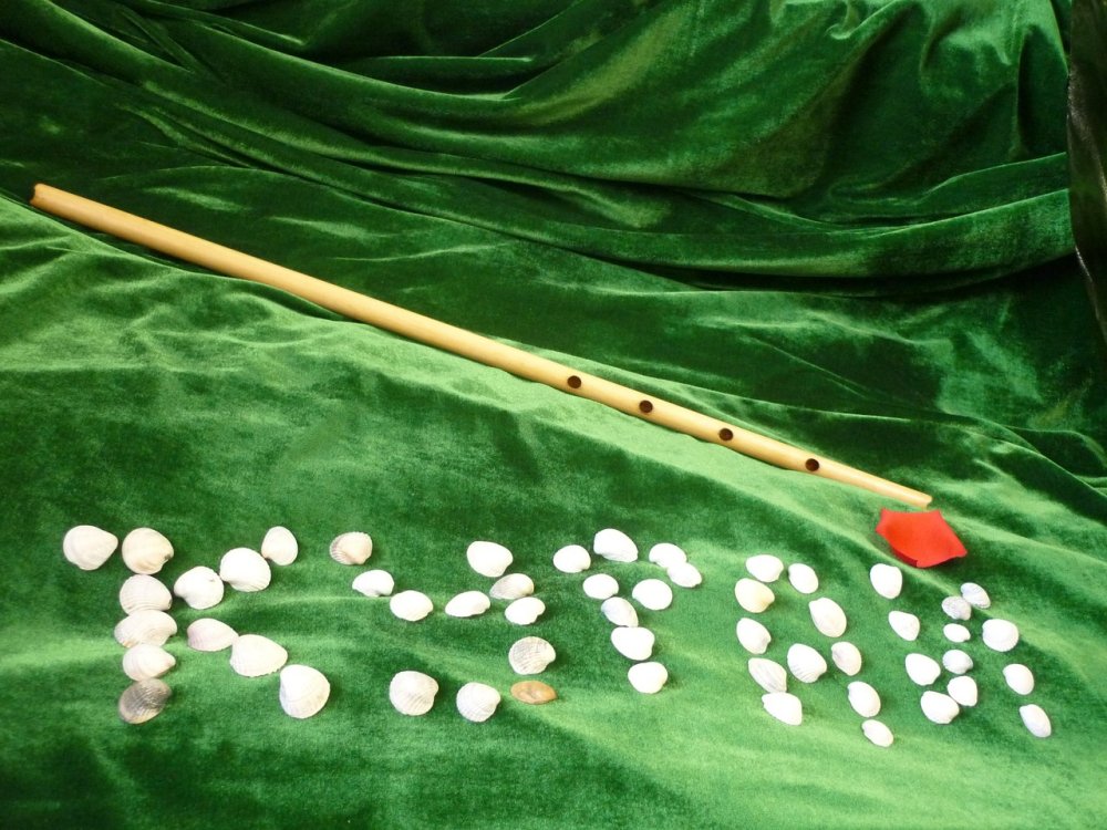 Борщевик курай