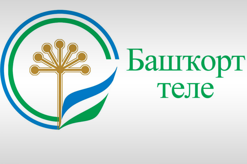 Кашка малашка растение