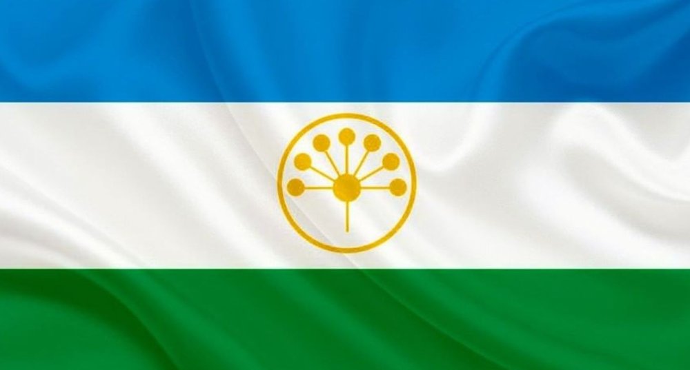 Борщевик соцветие