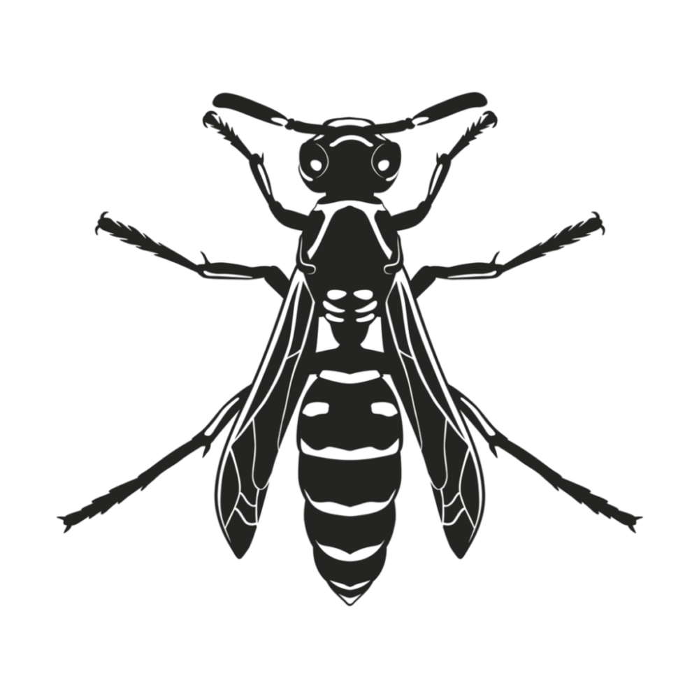 Оса вектор силуэт