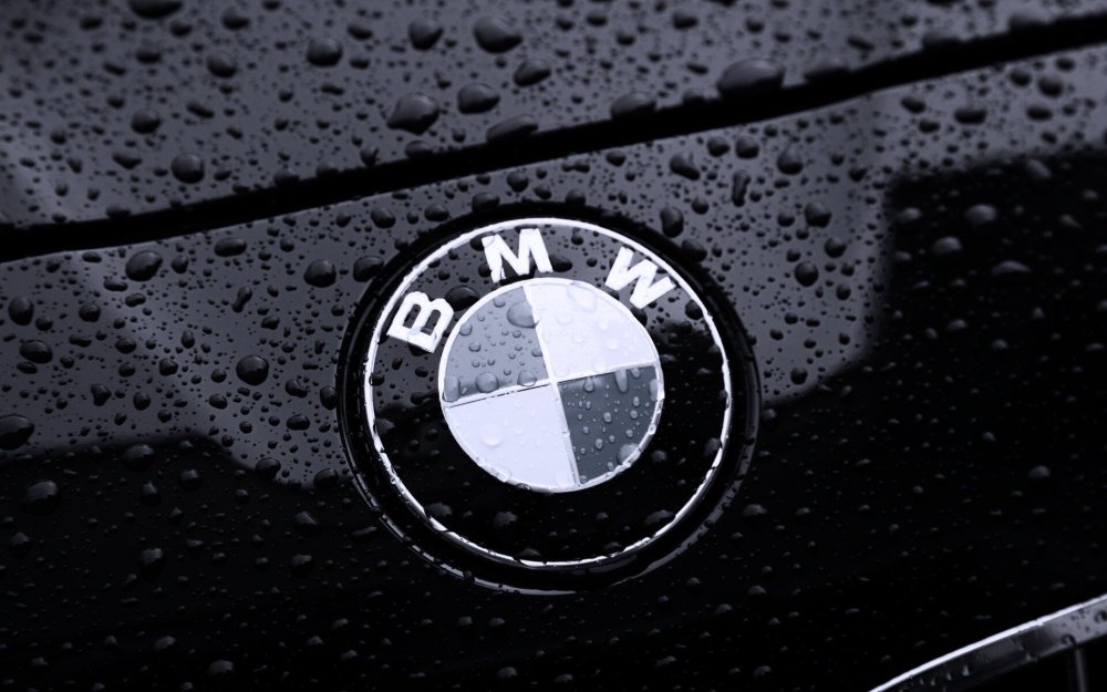 БМВ f90 в лесу