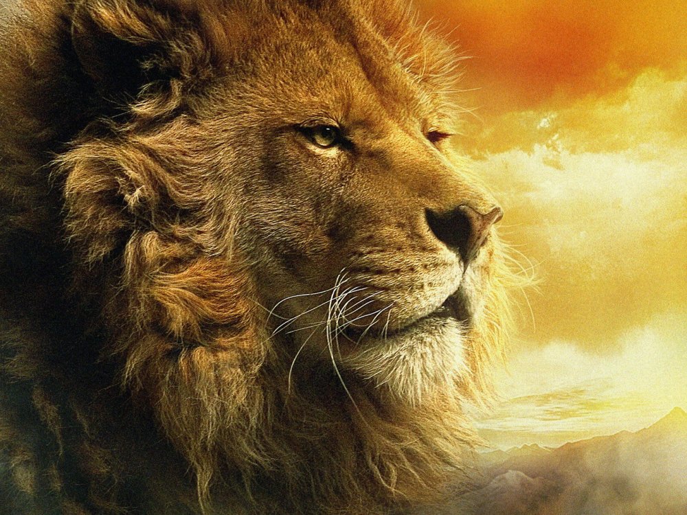 Хроники Нарнии море