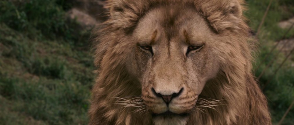 Лев Аслан хроники Нарнии