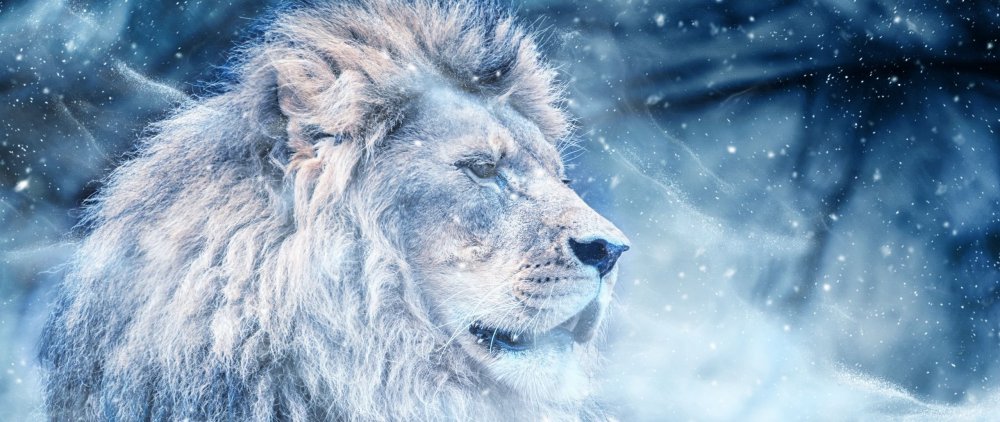 Хроники Нарнии 1967