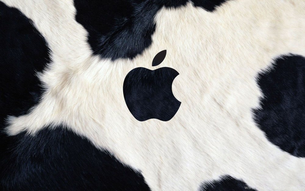 Обои корова