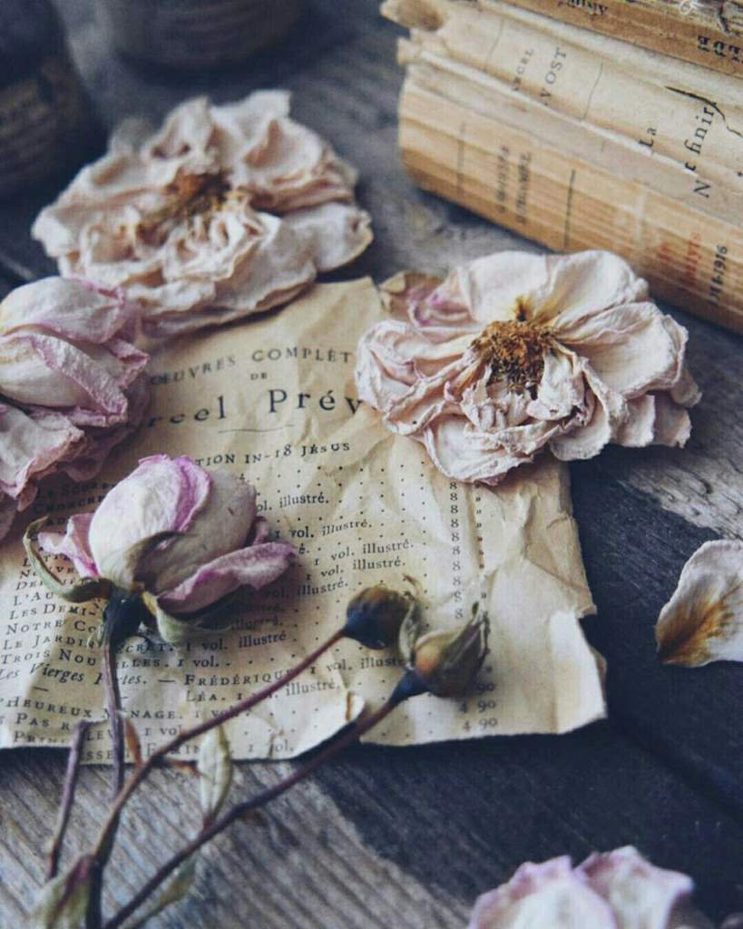 Засохшие цветы