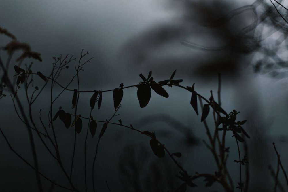 Темная Эстетика