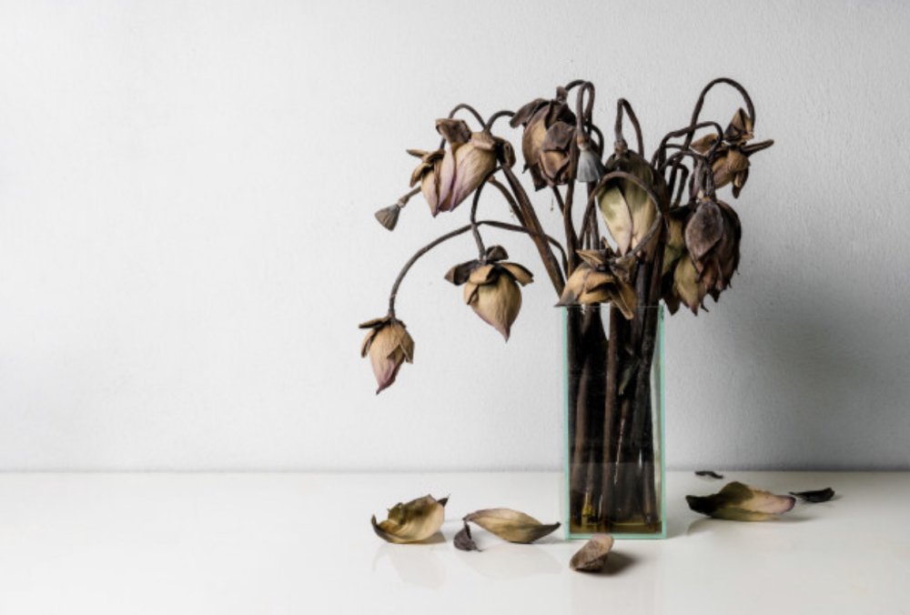 Ваза с увядшими цветами