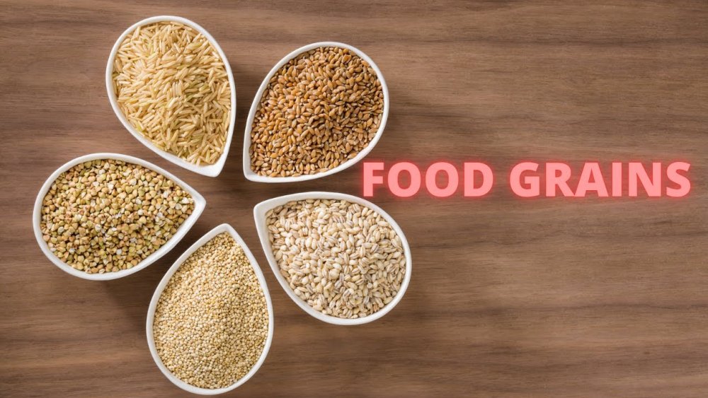 Пшеница, рожь, ячмень, овес, кукуруза