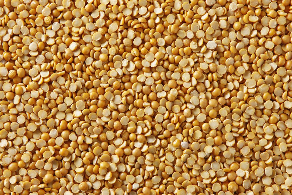 Горох желтый