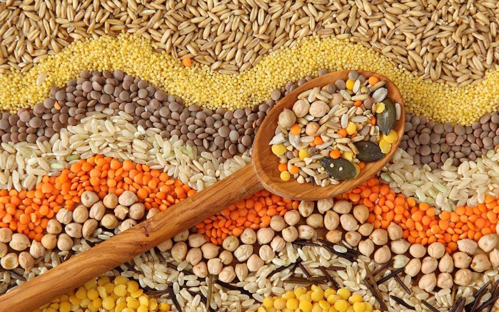 Выращивание масличных, зерновых и зернобобовых культур