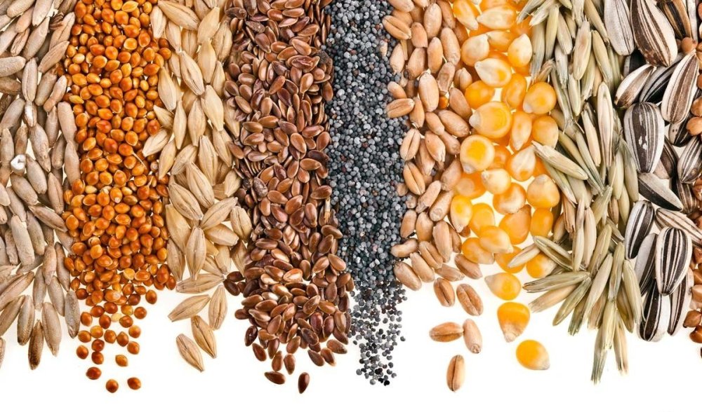 Зерновые и бобовые продукты