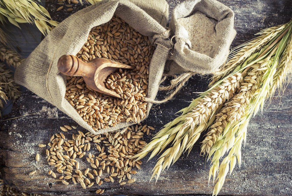 Пшеничное зерно
