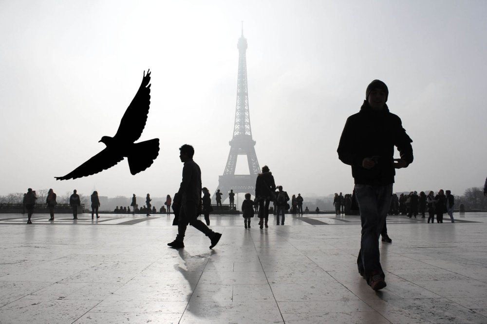 Черно белый Минимализм