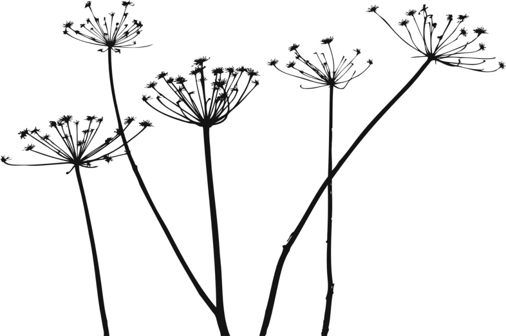 Уроп накромвн