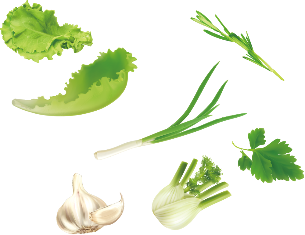 Укроп без стеблей