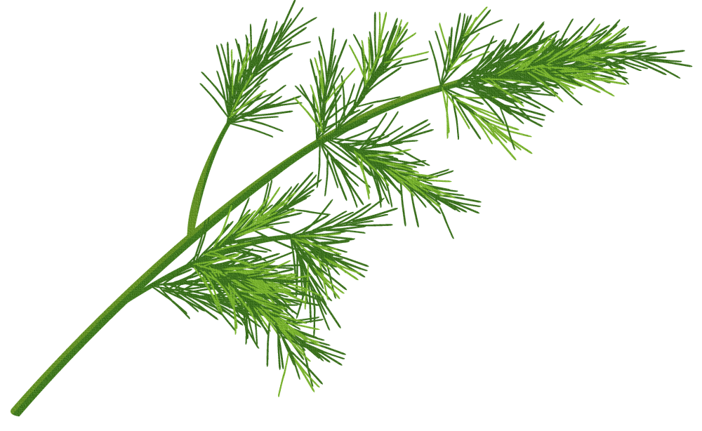 Растровые растения