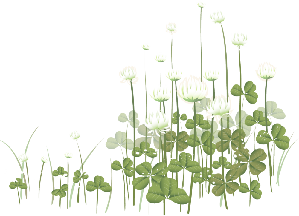 Микрозелень Кресс руккола