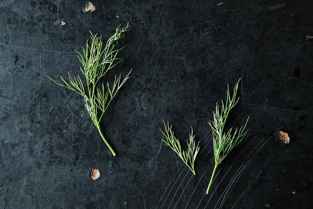 Микрозелень веточка