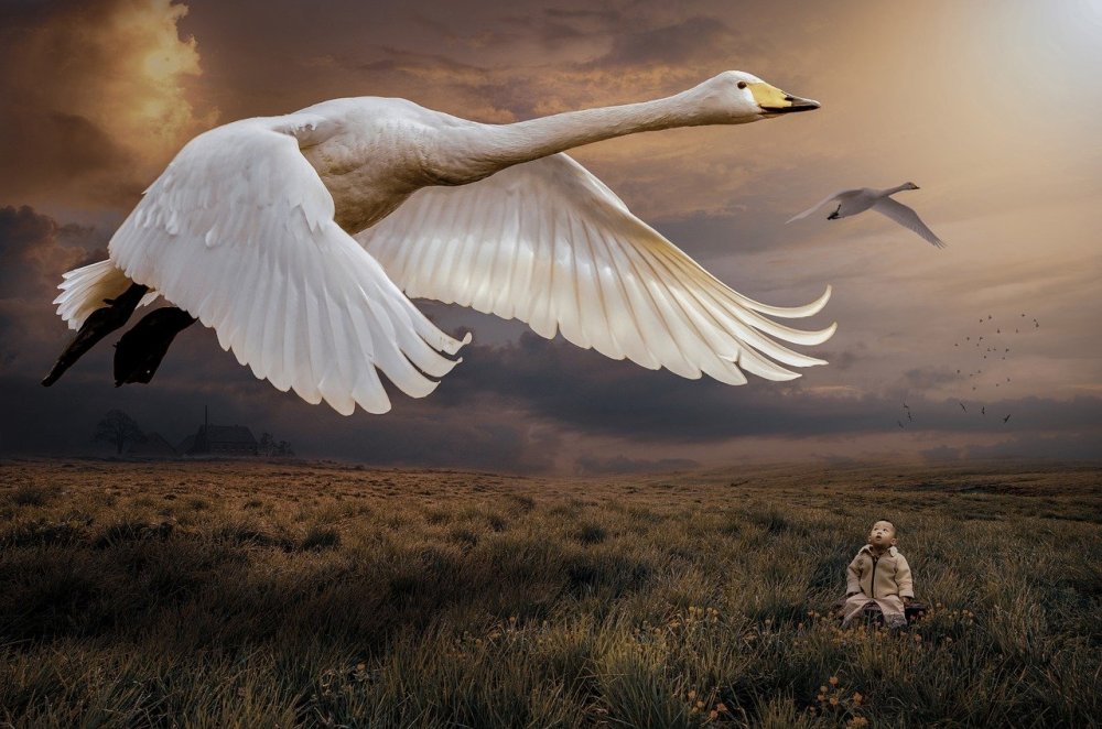 Белый голубь летит