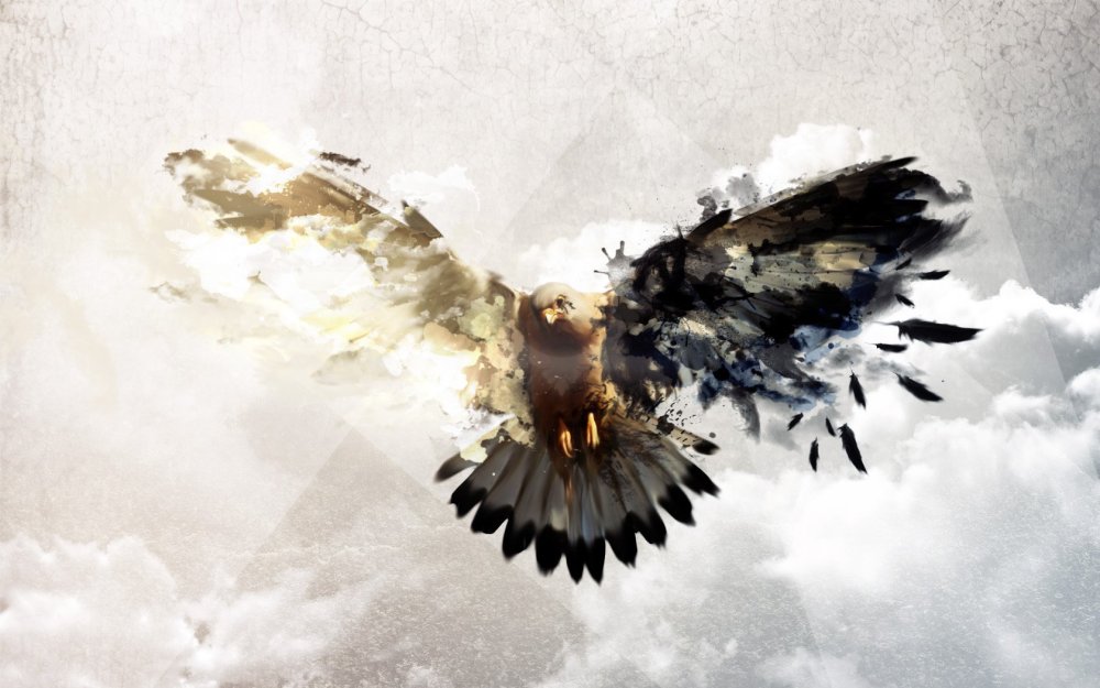 Птенец Феникса