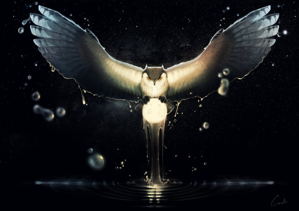 Ангел на снегу