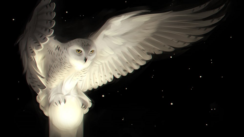 Белоснежные птицы