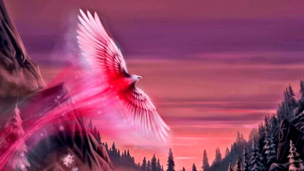 Фотограф Кристиан Спенсер