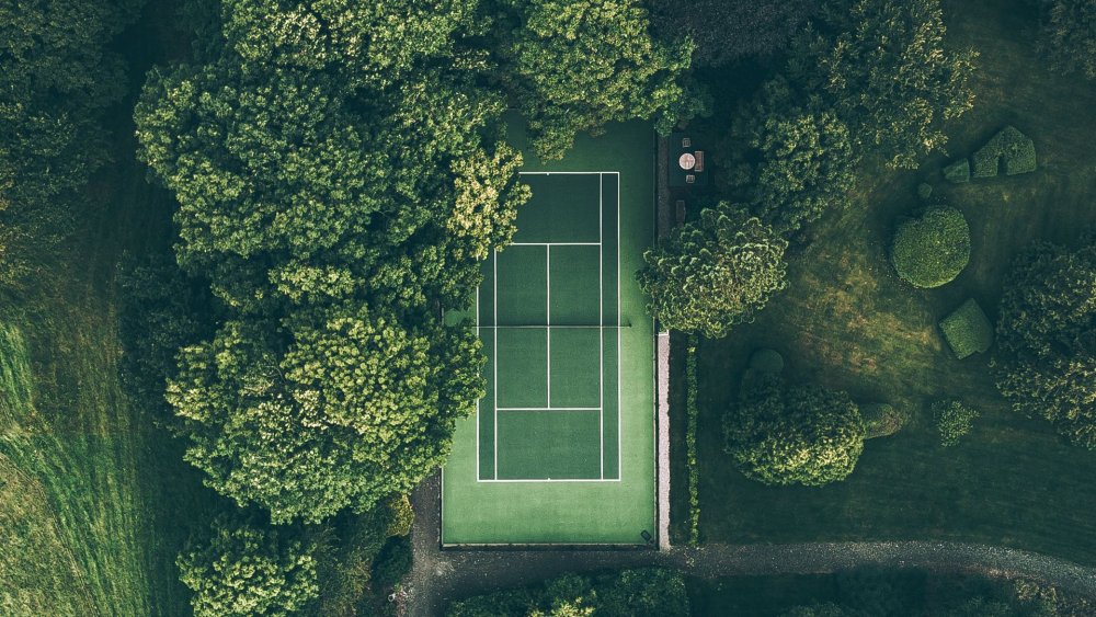 Мандарины новый год