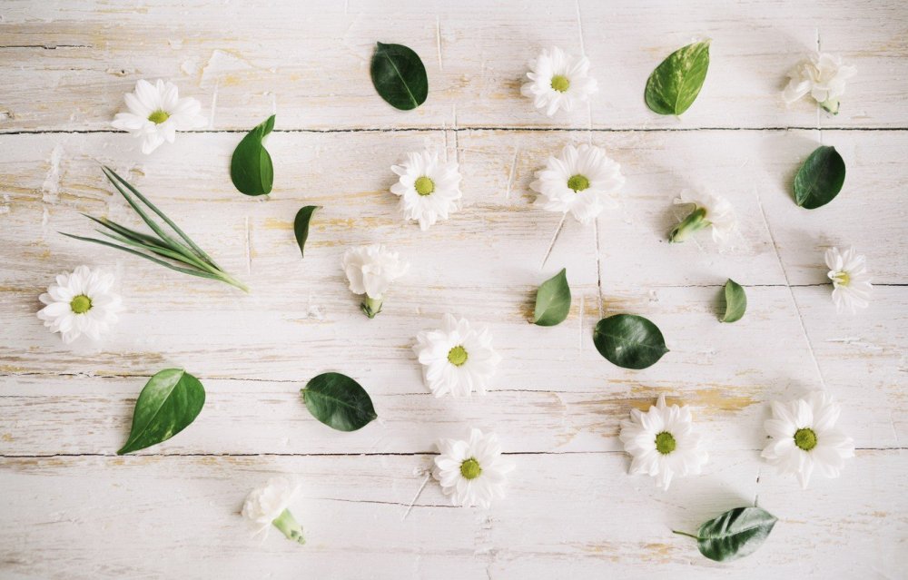 Красивый фон для еды