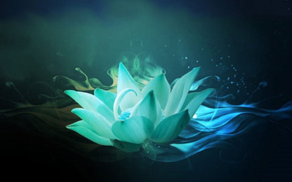 Изумрудный Лотос