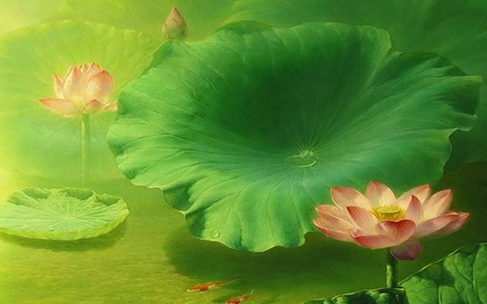 Зеленый цветок лотоса