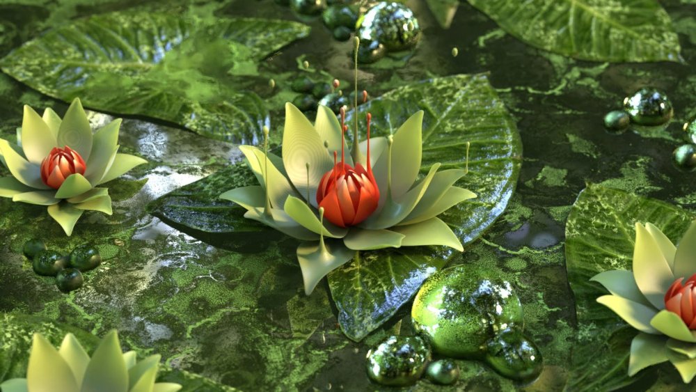 Зеленый цветок лотоса