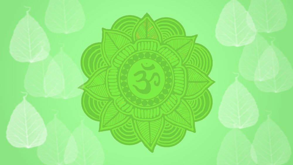 Лотос орехоносный фиолетовый