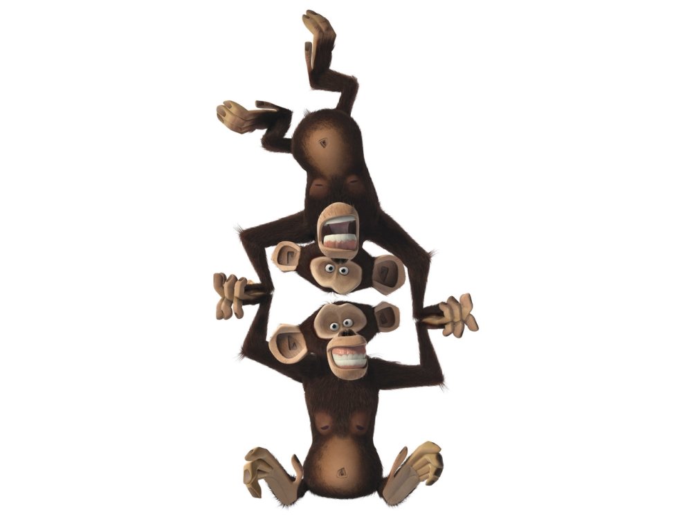 Мадагаскар лемур Морт