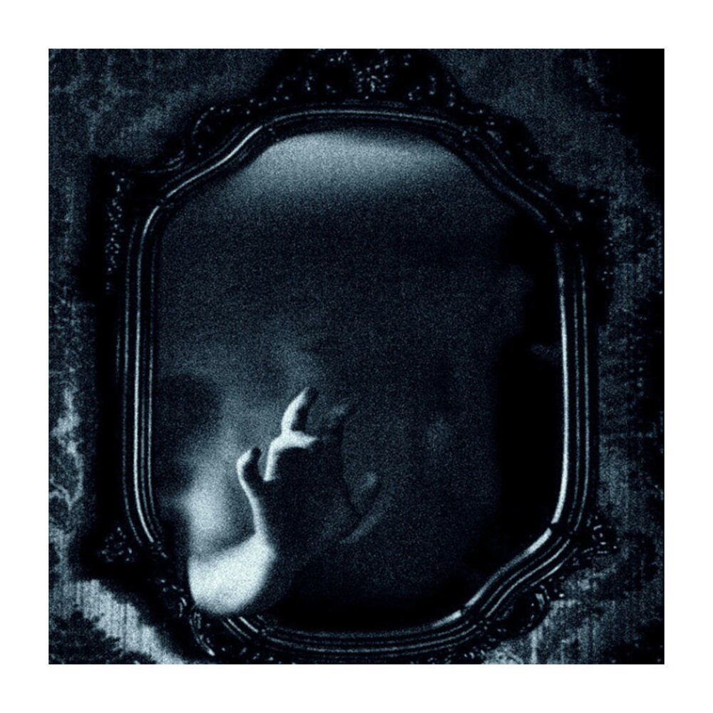 Черно белое отражение