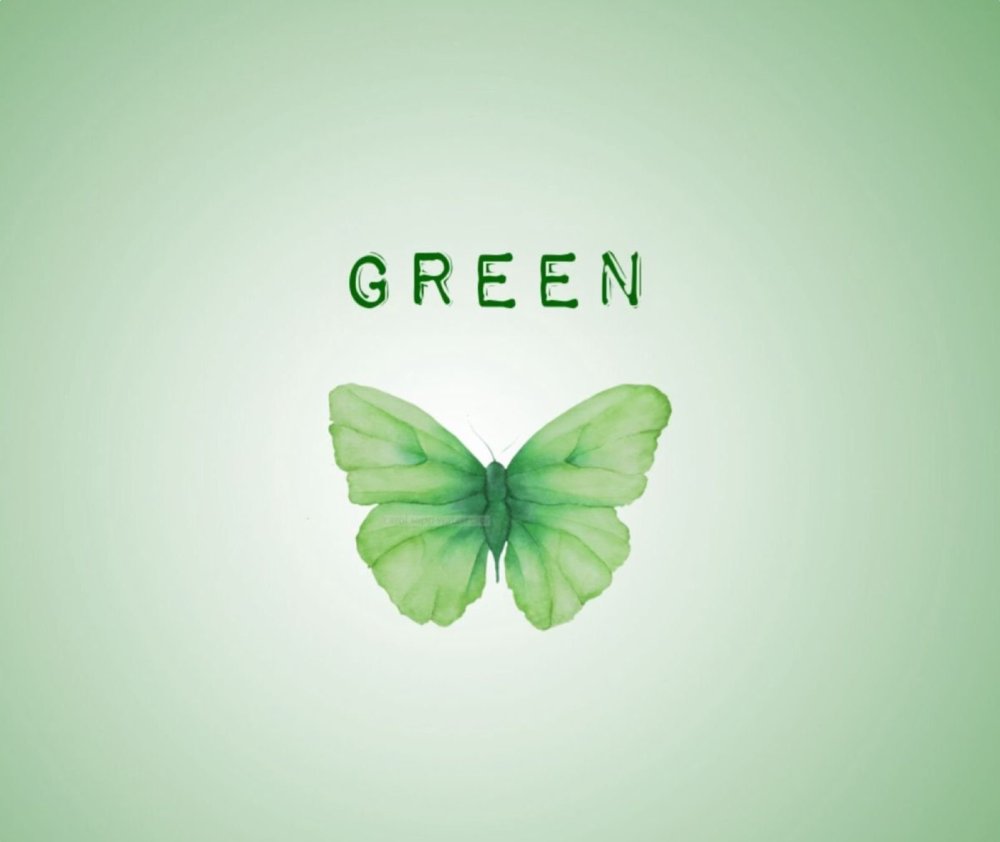 Зелёные обои Эстетика