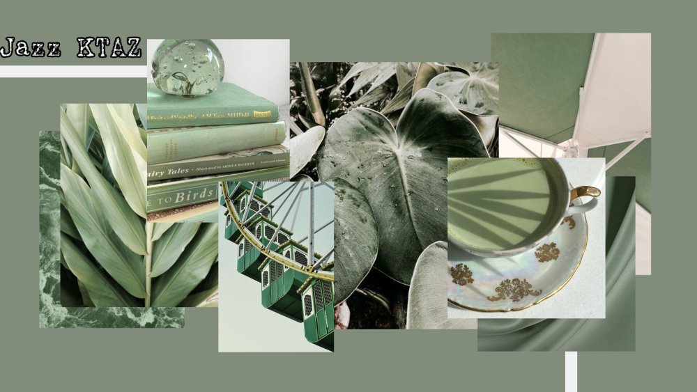 Эстетика светло зеленого цвета