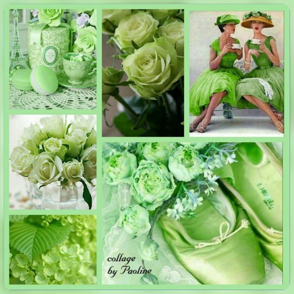 Зеленый цвет коллаж