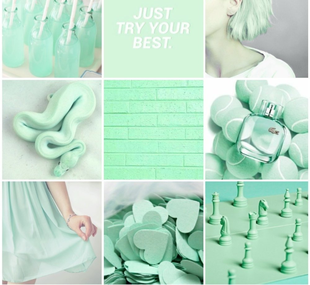 Эстетика нежно зеленого цвета