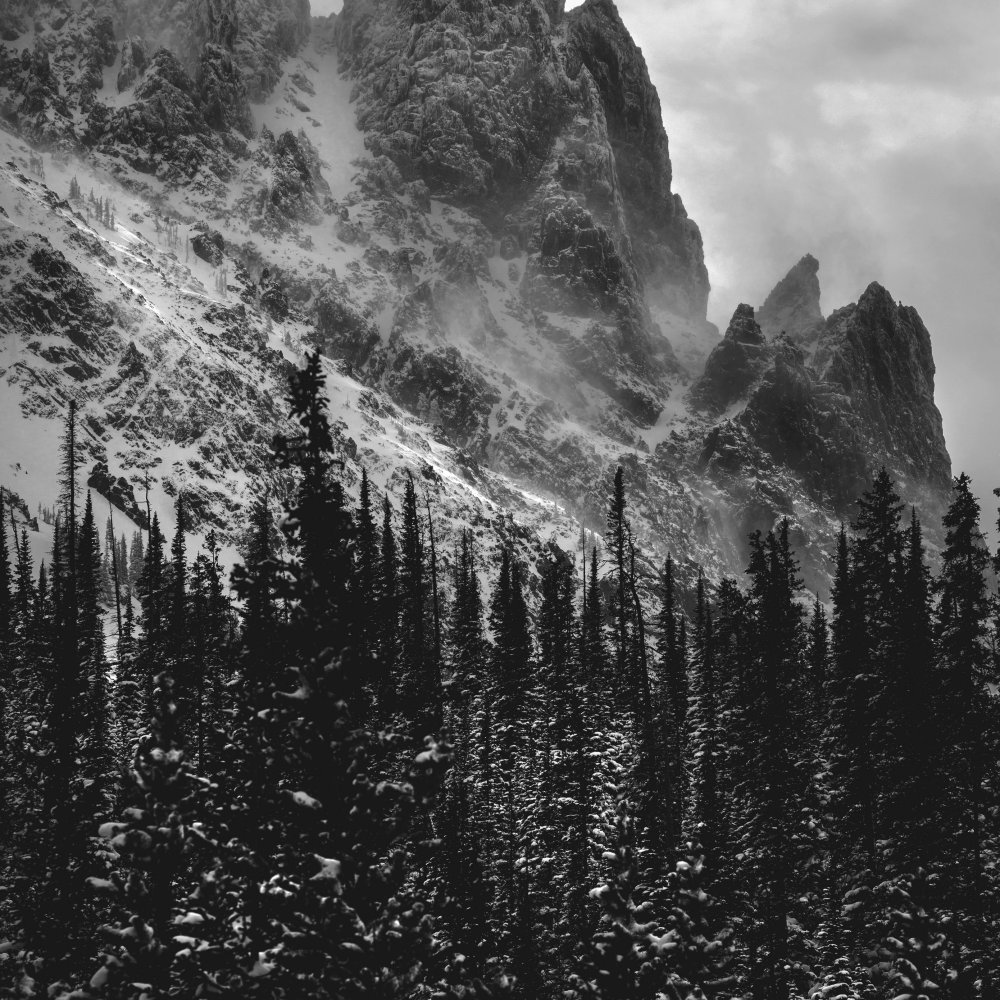 Обои ONEPLUS never settle