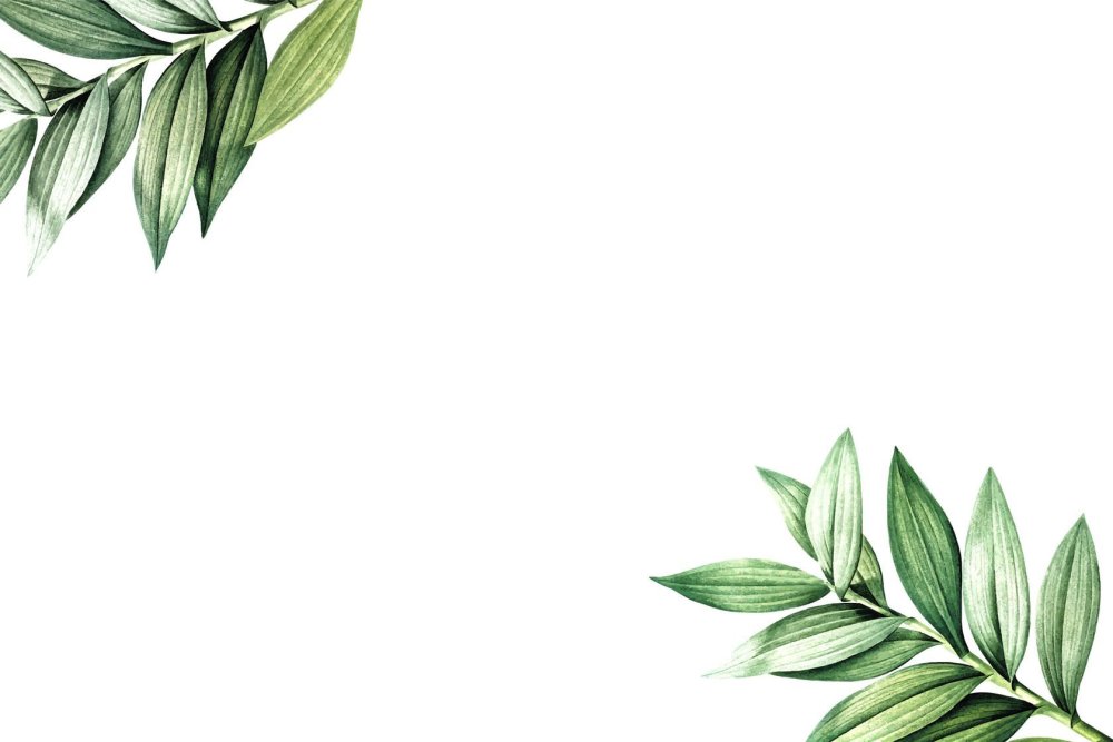 Фон с листьями Минимализм