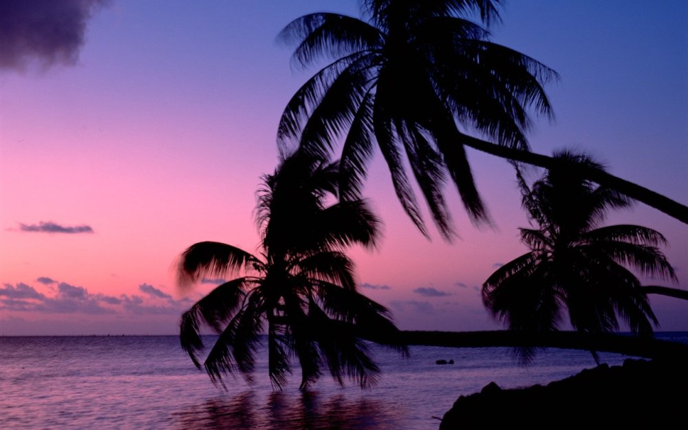 Аниме Эстетика