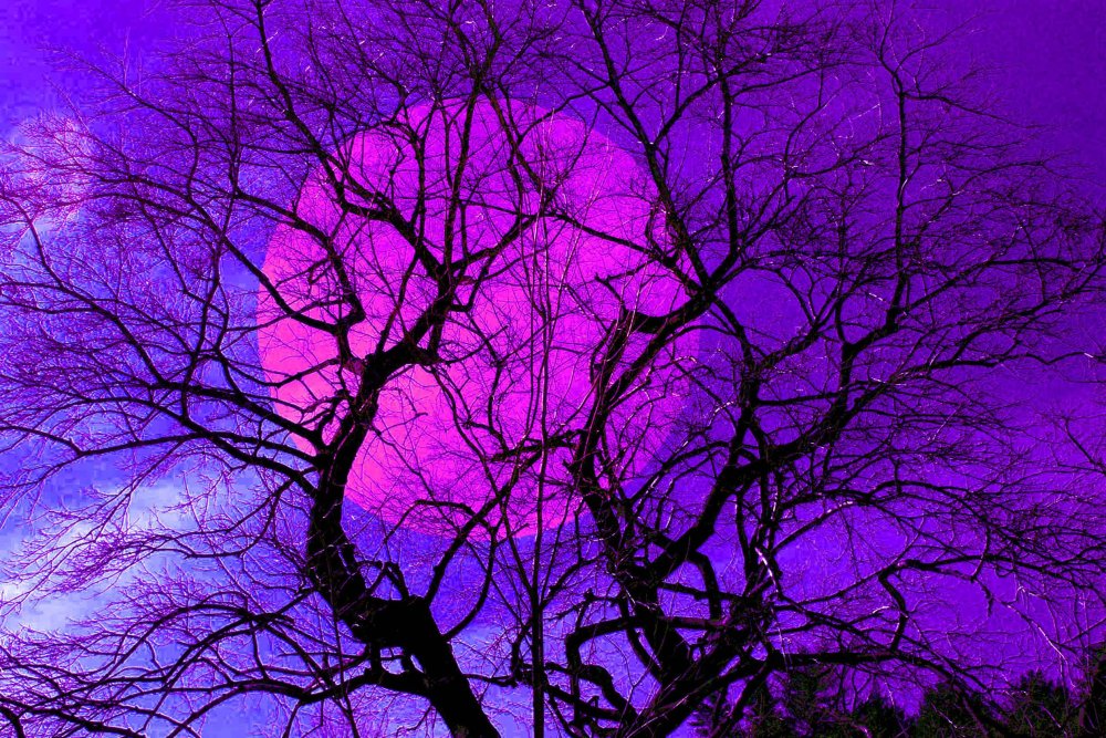 Фиолетовая Эстетика амонг АС