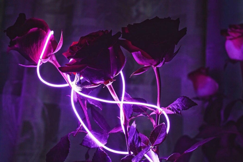 Фиолетовые эффекты